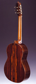 Guitar - 35th Anniversary Back View