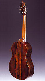 guitar model