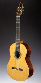 Guitar - 35th Anniversary Front View