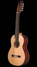 guitar model