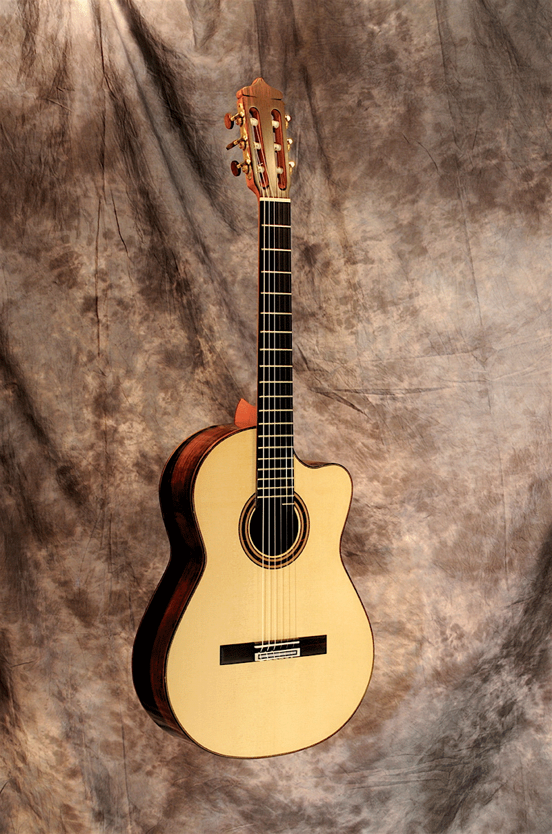 Cut-Away Guitar