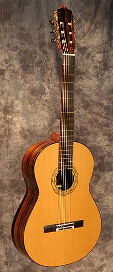 photo of guitar for sale