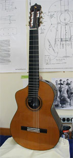 Crossover 7 string