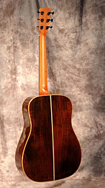 guitar model
