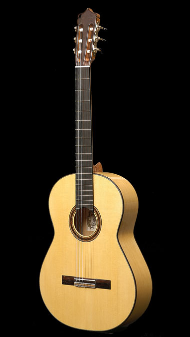 Flamenco Model Guitar