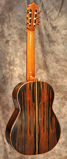 photo of guitar for sale