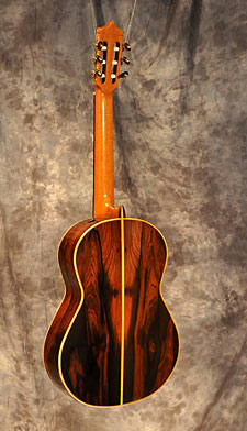photo of guitar for sale
