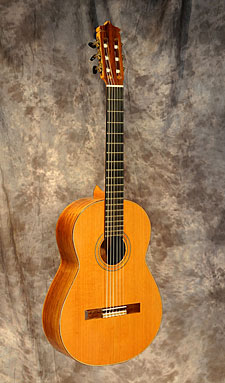 photo of guitar for sale