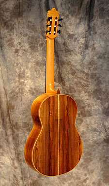 photo of guitar for sale