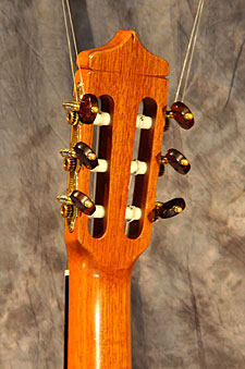 photo of guitar for sale