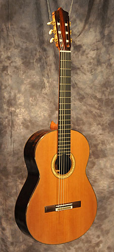 photo of guitar for sale