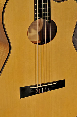 D'Aquisto Nylon Jazz Guitar