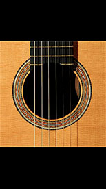 guitar model