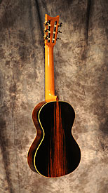 guitar model
