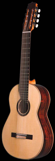 8-String Model Guitar