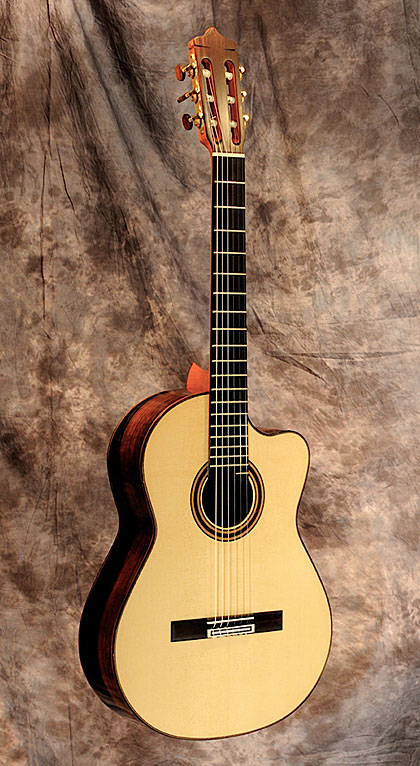 Cut-Away Guitar